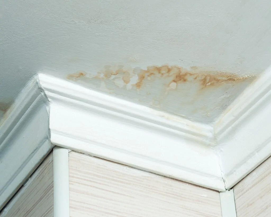 Resolving housing disrepair landlord tenant issues