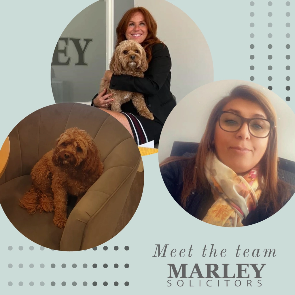 meet the team at Marley Solicitors