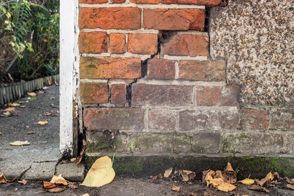 Housing Disrepair Claim
