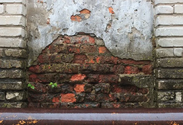 Blackpool damp and mould